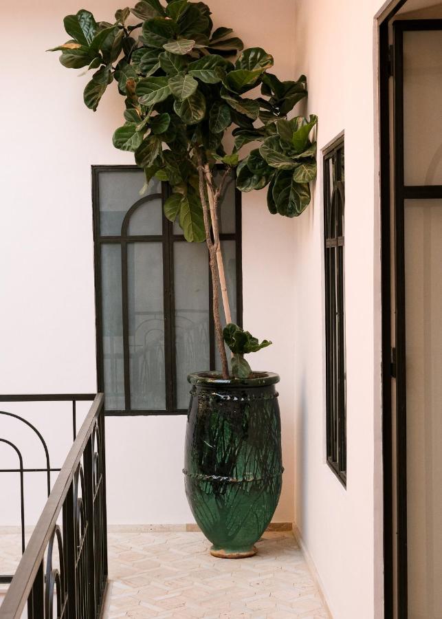 Riad Pompon مراكش المظهر الخارجي الصورة